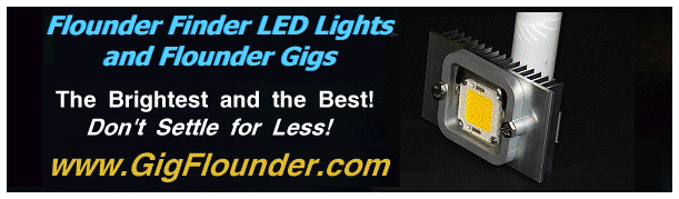 LED Flounder Gigging Lights