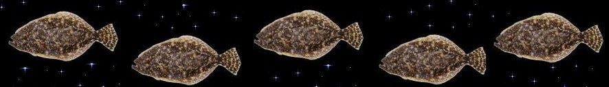 Flounder, Matagorda Flounder Gigging